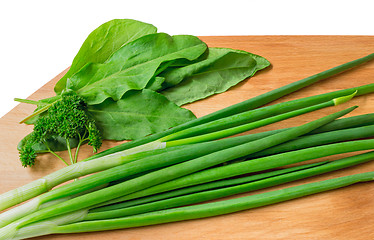 Image showing Green onions, parsley and sorrel on a white background