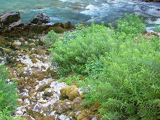 Image showing The coast of the mountain river in the mountains of Abkhazia.