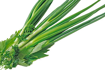 Image showing Green onions, parsley and sorrel on a white background