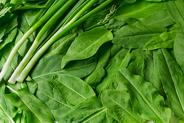 Image showing Green onions, parsley and sorrel on a white background