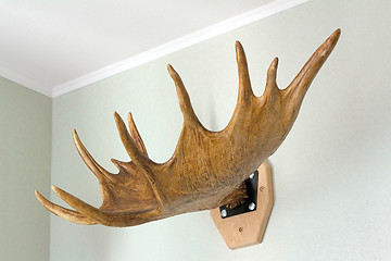 Image showing Trophy of the hunter - a horn of an elk. It is presented as an i