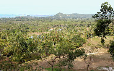 Image showing tropical landscape