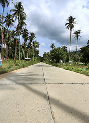 Image showing The road in the jungle