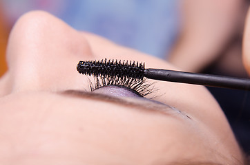 Image showing Makeup artist paints eyelashes model