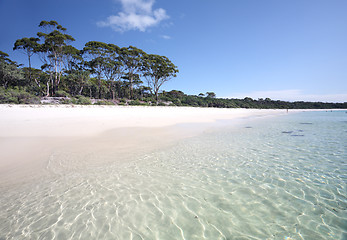 Image showing Green Patch Beach Australia