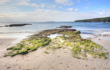 Image showing Moss covered rocks and rock pools 