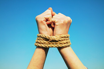 Image showing Hands tied up with rope