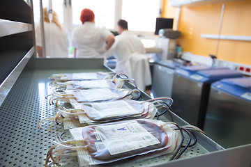 Image showing Blood bags in a hematological laboratory.