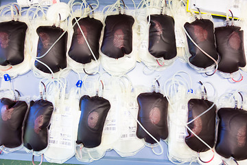 Image showing Blood transfusion bags.