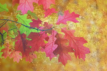 Image showing artistic distressed autumn image