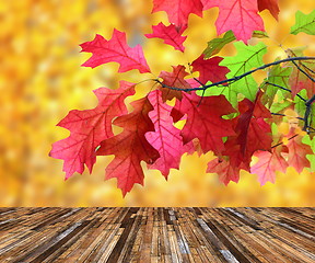 Image showing beautiful red leaves over veranda