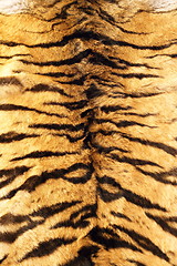 Image showing stripes on tiger pelt