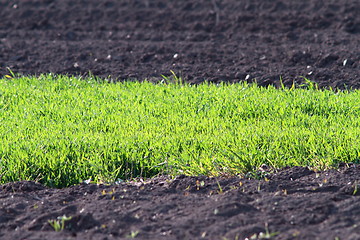 Image showing contrasts on farmland