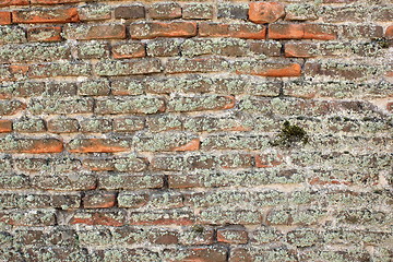 Image showing very old brick wall