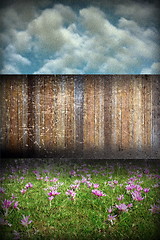 Image showing abstract distressed garden backdrop