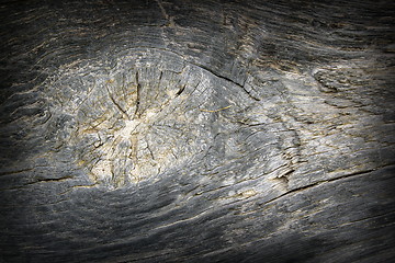 Image showing knot on oak wood