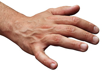 Image showing isolated male human hand