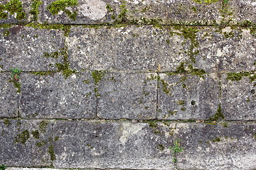 Image showing green moss on ancient wall