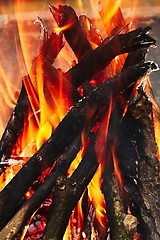 Image showing Camp Fire