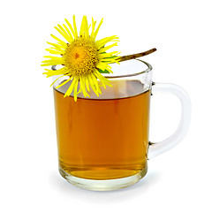 Image showing Herbal tea with elecampane in a glass mug