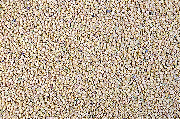 Image showing Fenugreek texture 1