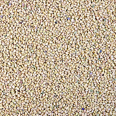 Image showing Fenugreek texture 2