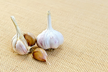 Image showing Garlic on a sacking