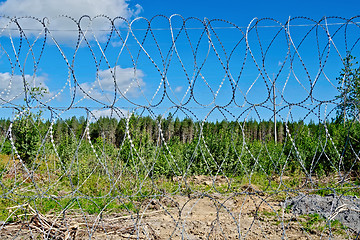 Image showing Barbed wire fence with blue sky