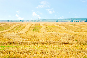 Image showing Straw stripes on the field