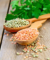 Image showing Lentils red and green in wooden spoons on board