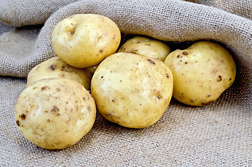 Image showing Potatoes yellow on burlap background