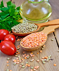 Image showing Lentils red and green with oil on board