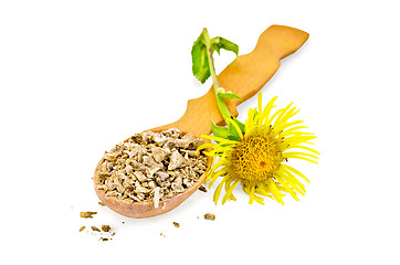 Image showing Elecampane root on a spoon with flower