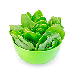 Image showing Spinach in a green bowl