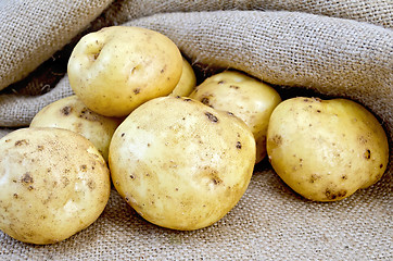 Image showing Potatoes yellow with burlap