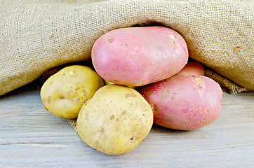 Image showing Potatoes yellow and red with burlap on board