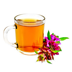 Image showing Herbal tea with bergamot in glass mug