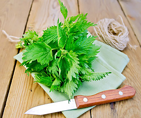 Image showing Nettle with napkin and twine on board