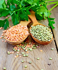 Image showing Lentils red and green in spoons with parsley on board