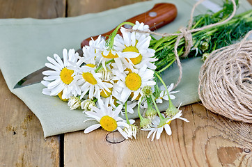 Image showing Chamomile with a knife and napkin on board