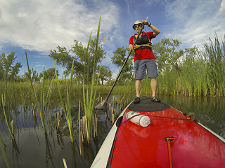 Image showing stand up paddling (SUP)