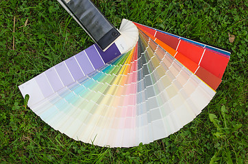 Image showing color palette guide on the meadow outdoor 