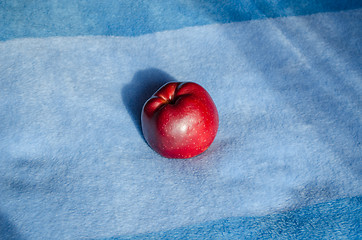 Image showing red apple lying on soft blue surface 