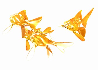 Image showing Gold fishes