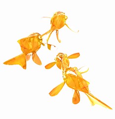 Image showing Gold fishes