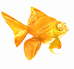 Image showing Gold fish