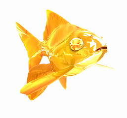 Image showing Gold fish