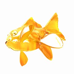 Image showing Gold fish