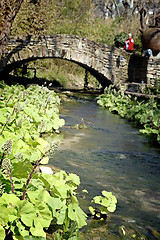 Image showing Rock bridge