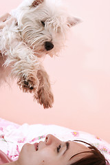 Image showing Dog sleeping on bed 